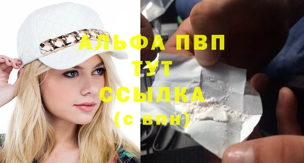 гашик Пересвет