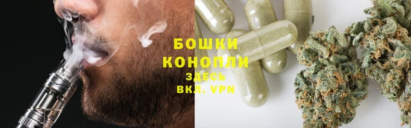 spice Пестово
