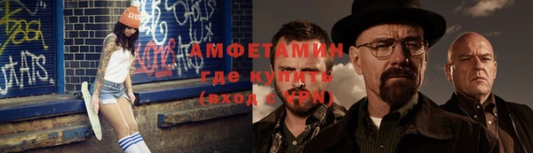 гашик Пересвет