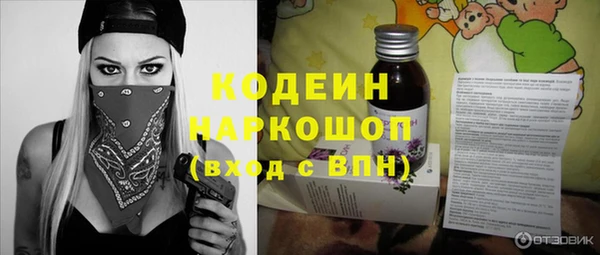гашик Пересвет