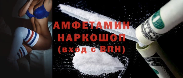 гашик Пересвет