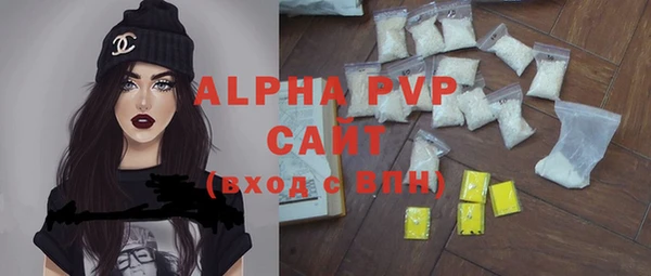 гашик Пересвет