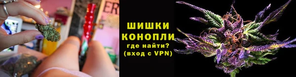 spice Пестово