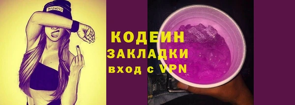гашик Пересвет