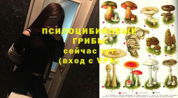 гашик Пересвет