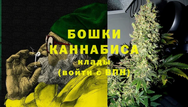 spice Пестово