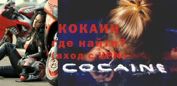 гашик Пересвет