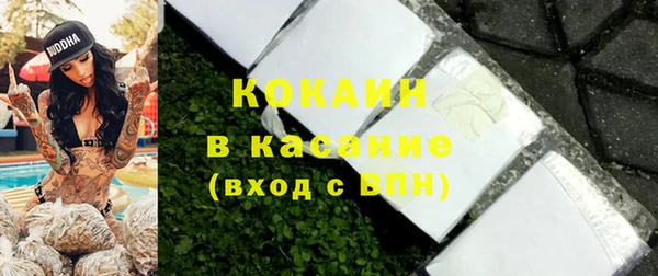 гашик Пересвет