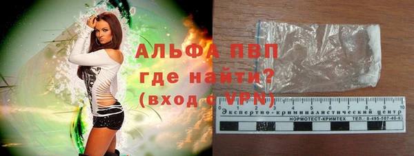 гашик Пересвет