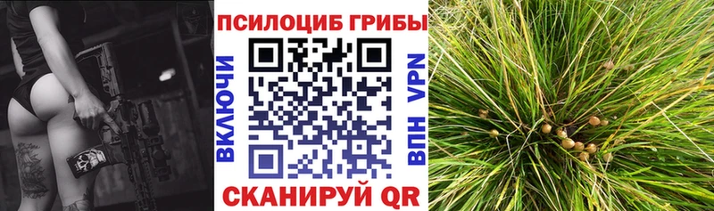 даркнет формула  Петровск  Галлюциногенные грибы мухоморы 