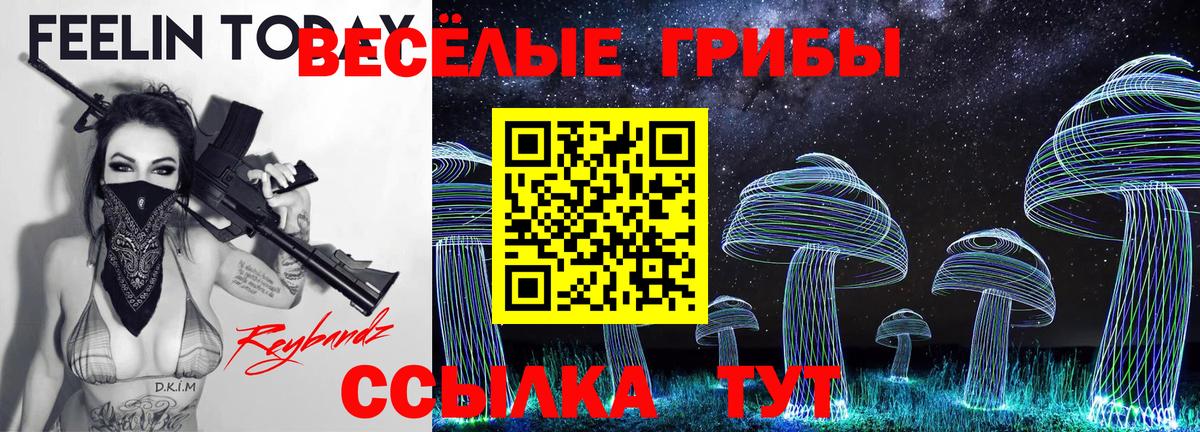 купить наркотик  Галлюциногенные грибы GOLDEN TEACHER  Вход с VPN  Петровск 